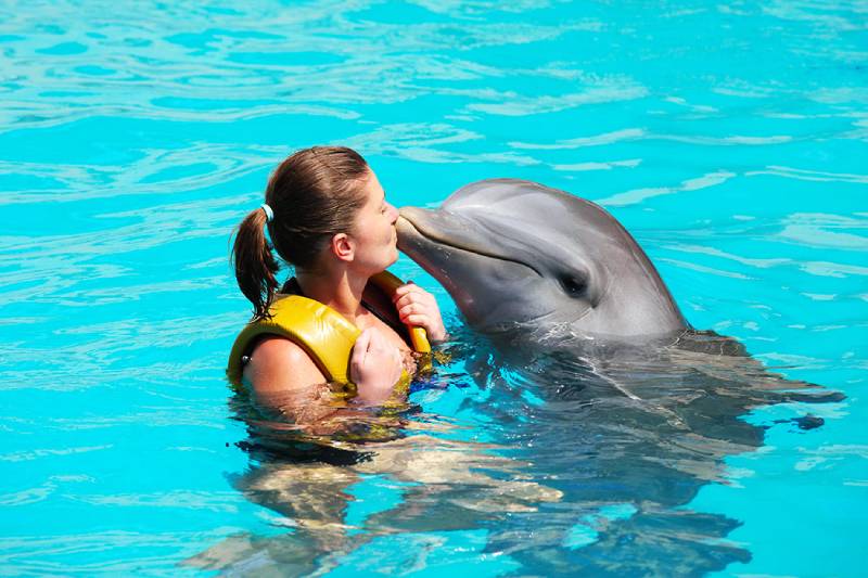 Dolphin bay - cose da fare a Dubai