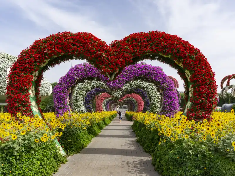 Vicolo di fiori colorati a forma di cuore nel Miracle Garden, Miracle Garden Dubai