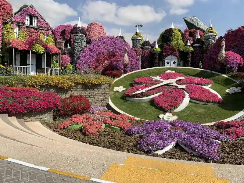 Fiori rosa al Miracle Garden Dubai, Miracle Garden Dubai