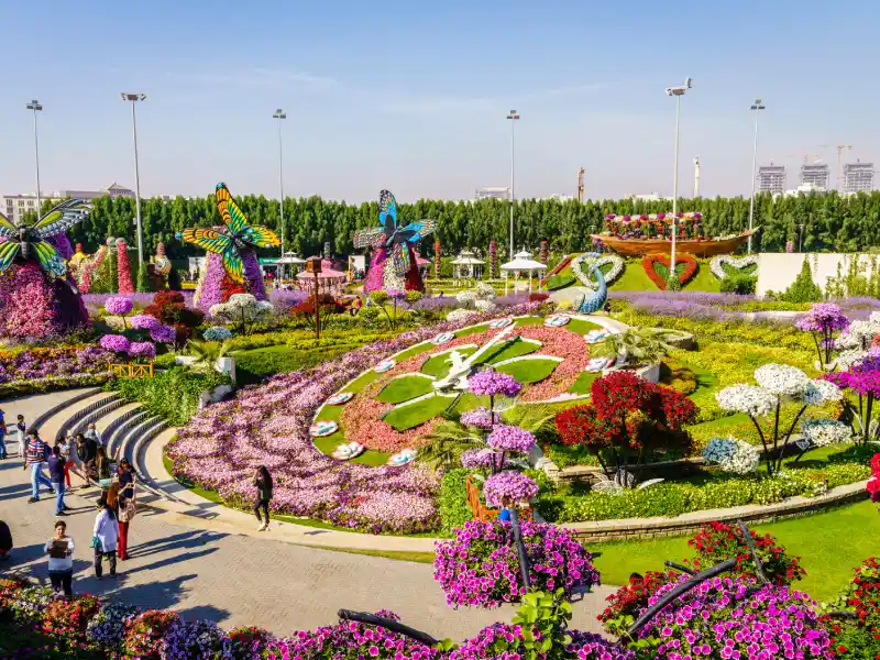 Turisti nel Miracle Garden, Miracle Garden Dubai